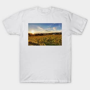 Sunset over Grape Orchards - Lake Constance T-Shirt